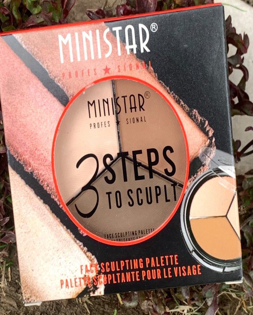 Ministar Face Sculpting Pallete (08)