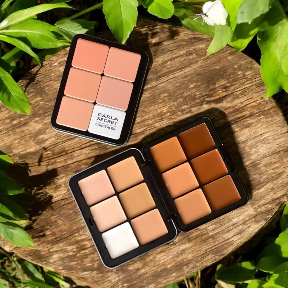 carla concealer and contour pallete