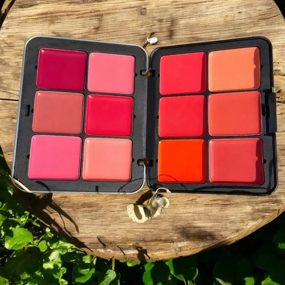 carla secret blush pallete