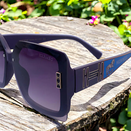 Hermes Sunglasses With Leather Case - sunglasses