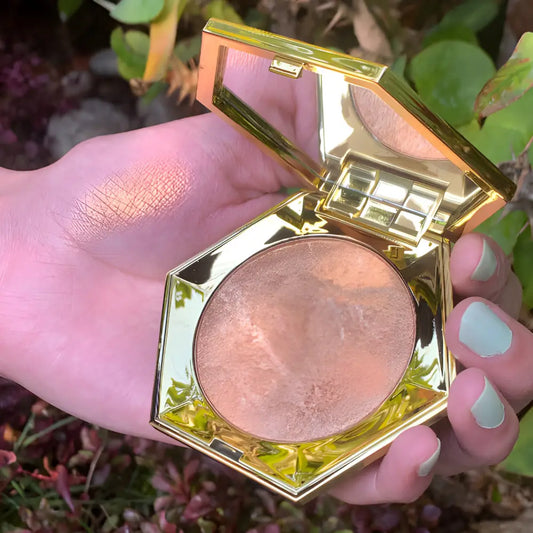 Revolution Honey Bear Highlighter - highlighter