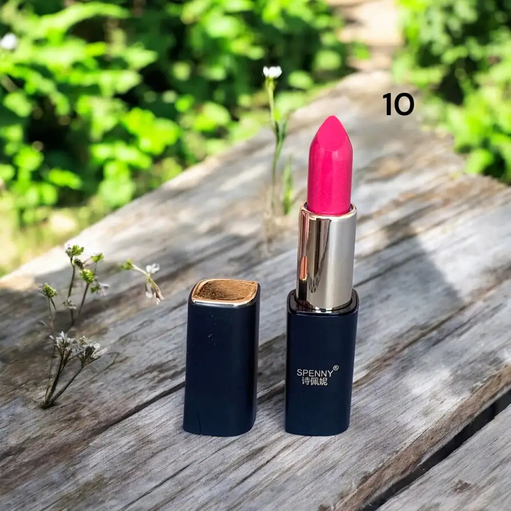 Spenny Matte Lipstick  shade # 10