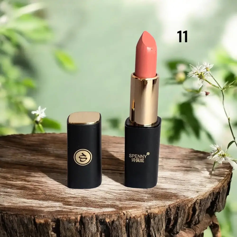 Spenny Matte Lipstick  shade # 11
