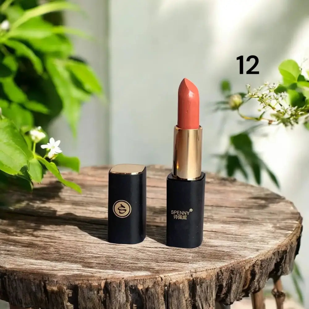 Spenny Matte Lipstick  shade # 12
