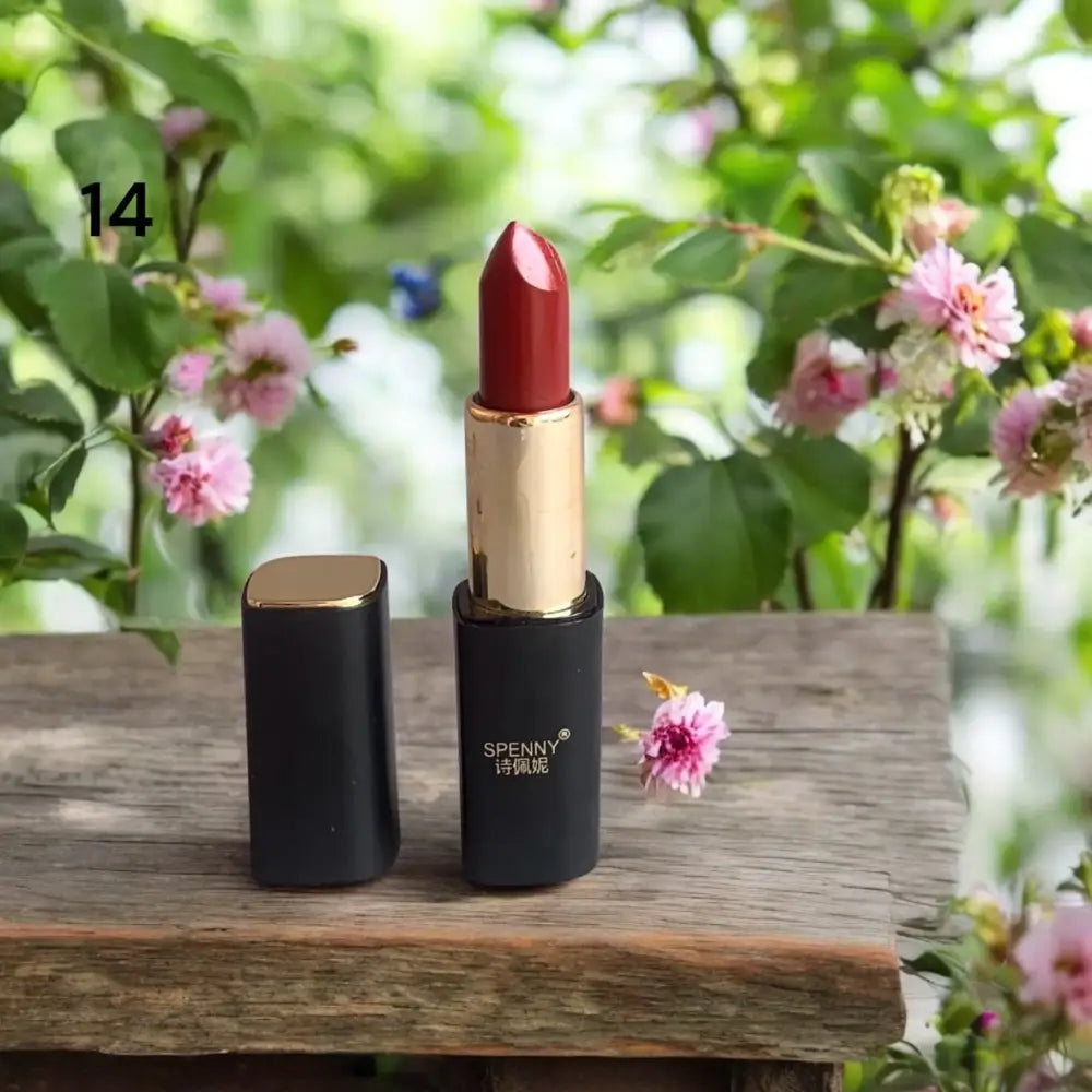 Spenny Matte Lipstick  shade # 14
