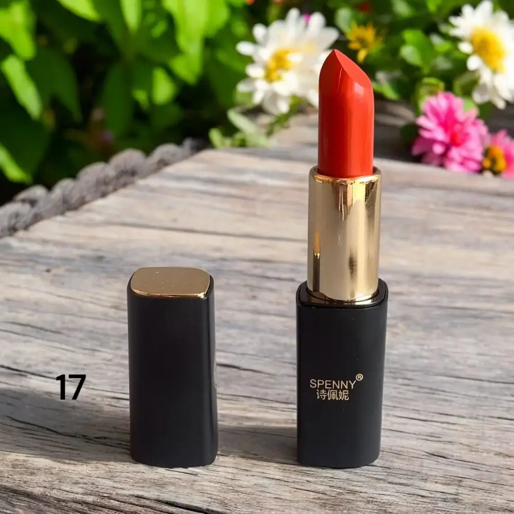 Spenny Matte Lipstick  shade #17