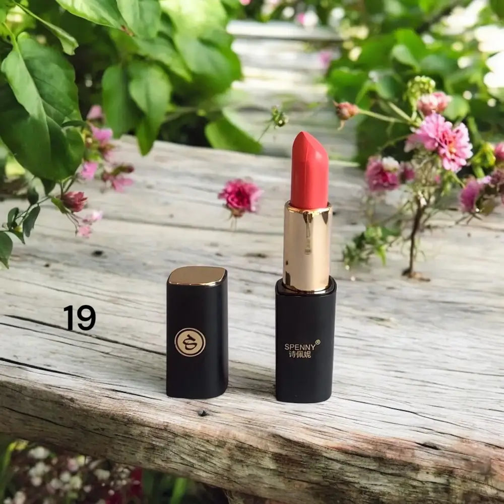 Spenny Matte Lipstick  shade # 19