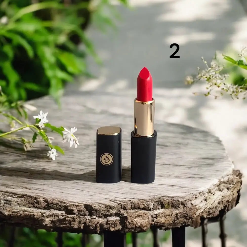 Spenny Matte Lipstick  shade # 2