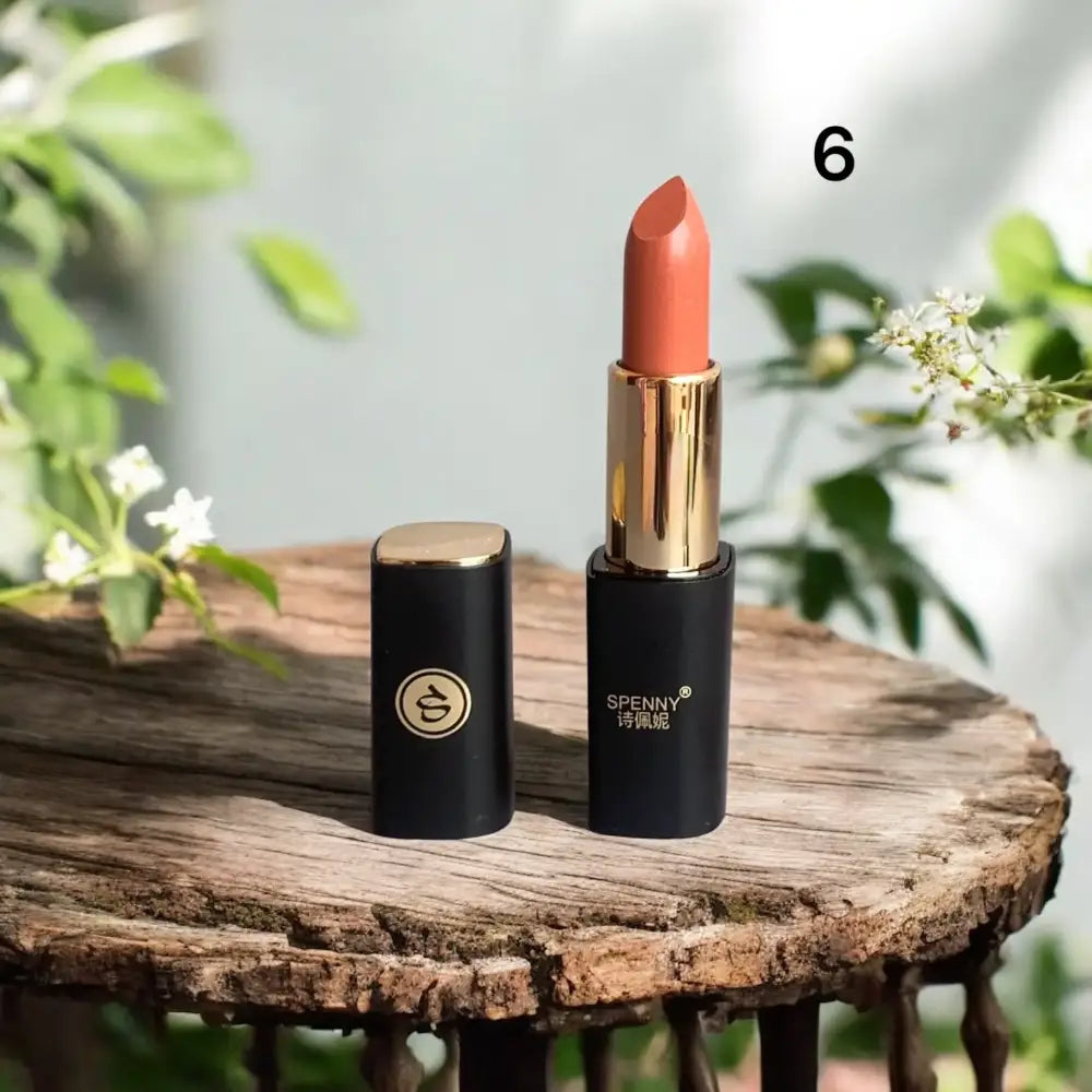 Spenny Matte Lipstick  shade # 6