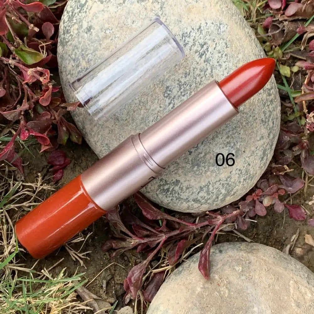Teayason 2 in 1 matte lipgloss & lipstick - 06