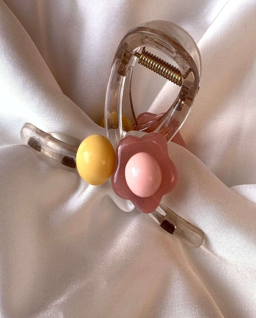 Claw Clip Collection