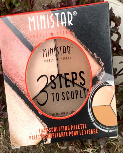 Ministar Face Sculpting Pallete (08)
