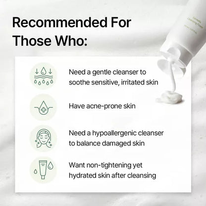 Mixsoon Centella Cleansing Foam