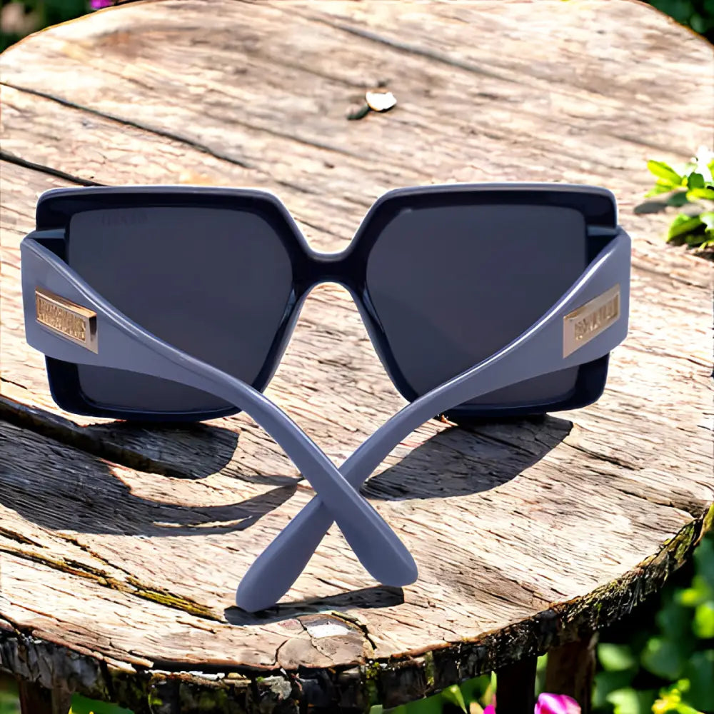 Hermes Sunglasses With Leather Case - sunglasses