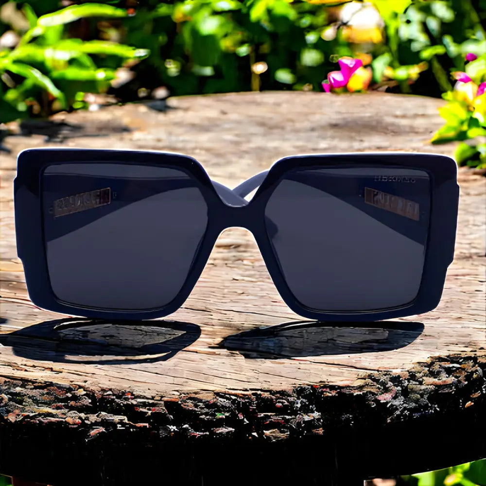 Hermes Sunglasses With Leather Case - sunglasses
