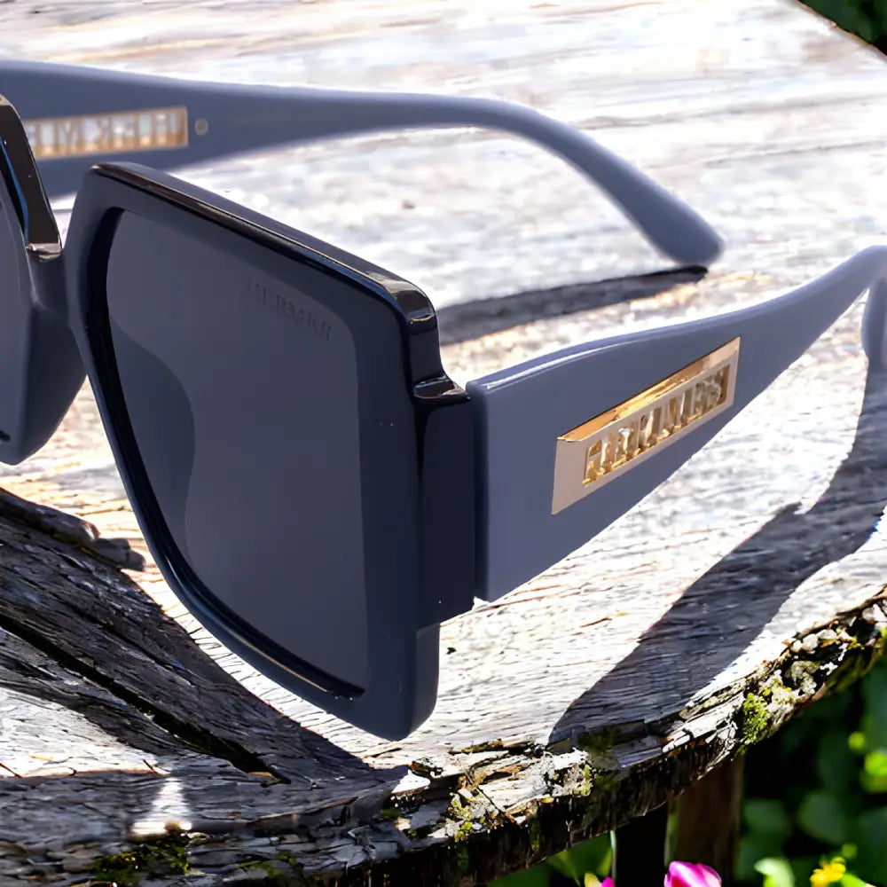 Hermes Sunglasses With Leather Case - sunglasses